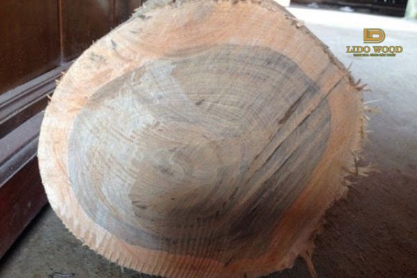 Gỗ bách xanh là gì?