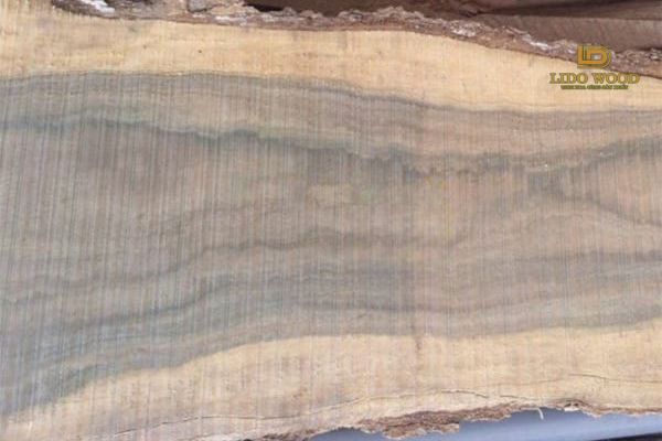 Đặc điểm nổi bật của gỗ bách xanh