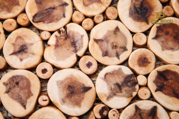 Gỗ đàn hương là gì?