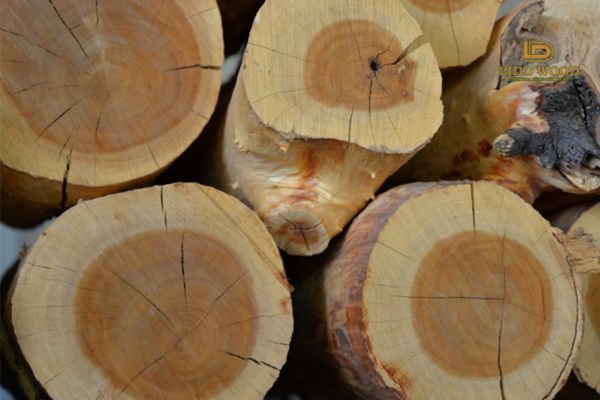 Đặc điểm của gỗ đàn hương