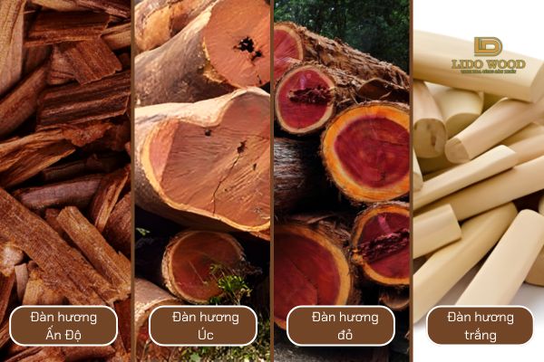 Phân loại gỗ đàn hương