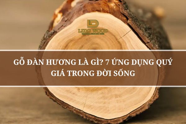 Gỗ Đàn Hương Là Gì? 7 Ứng Dụng Quý Giá Trong Đời Sống