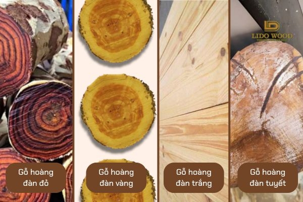 Phân loại phổ biến