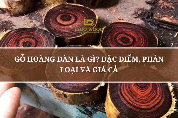 Gỗ Hoàng Đàn Là Gì? Đặc Điểm, Phân Loại Và Giá Cả  
