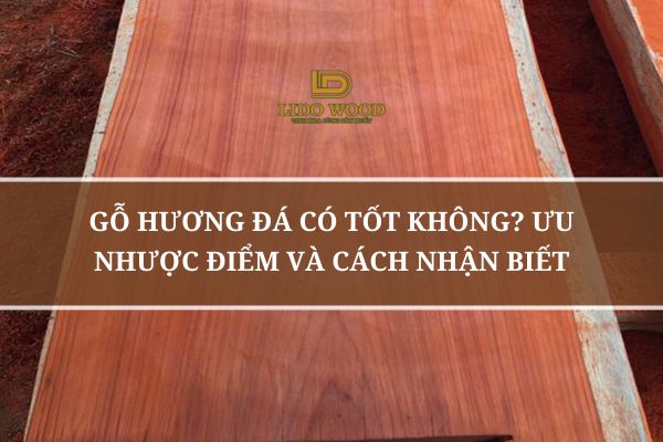 Gỗ Hương Đá Có Tốt Không? Ưu Nhược Điểm Và Cách Nhận Biết
