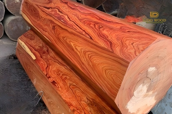 Gỗ trắc là gì?