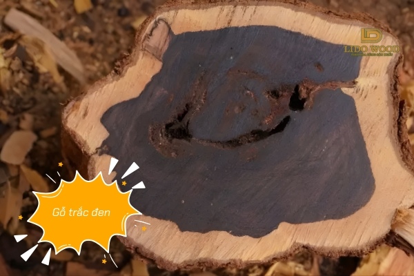 Gỗ trắc đen