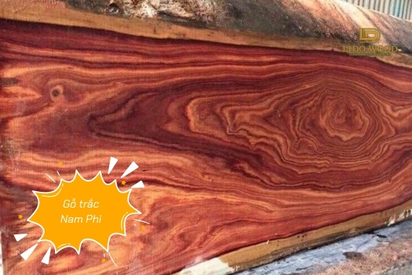 Gỗ trắc Nam Phi