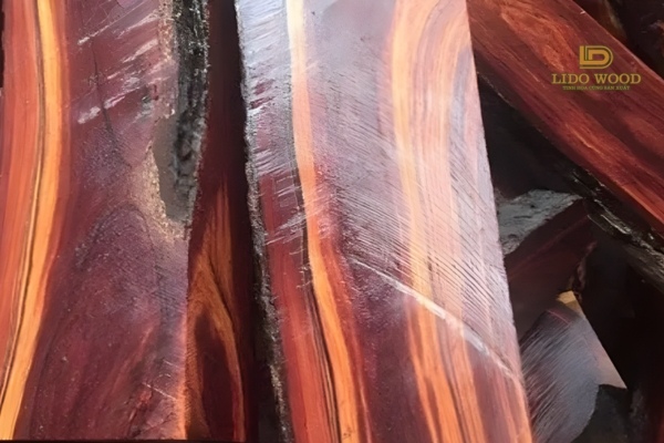 Cách nhận biết loại gỗ này