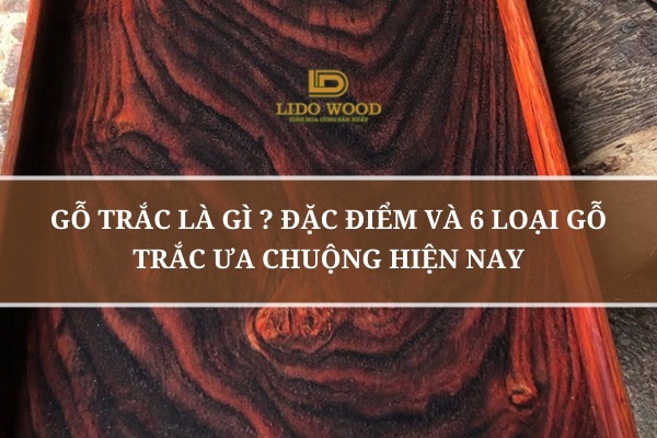 Gỗ Trắc Là Gì ? Đặc Điểm Và 6 Loại Gỗ Trắc Ưa Chuộng Hiện Nay
