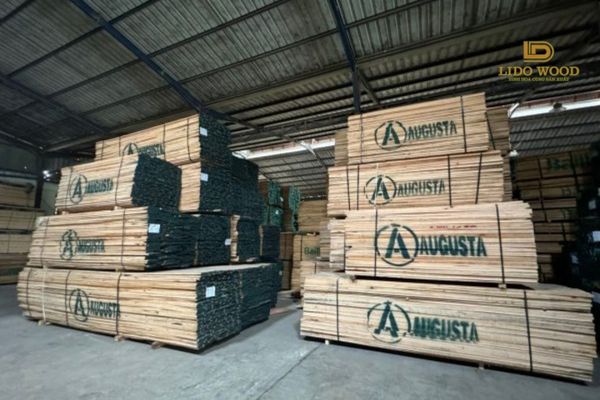 Gỗ có đặc điểm gì?