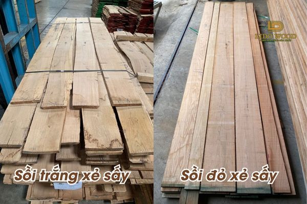 Có 2 loại gỗ sồi chính