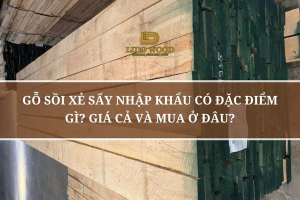Gỗ Sồi Xẻ Sấy Nhập Khẩu Có Đặc Điểm Gì? Giá Cả Và Mua Ở Đâu?