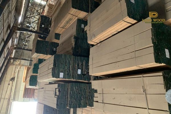 Gỗ có đặc điểm gì?