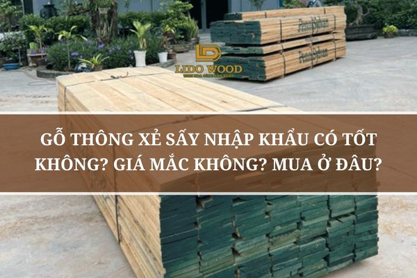 Gỗ Thông Xẻ Sấy Nhập Khẩu Có Tốt Không? Giá Mắc Không? Mua Ở Đâu?