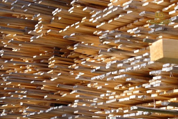 Gỗ xẻ nhập khẩu là gì?