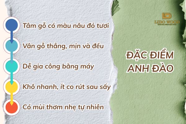 Gỗ có đặc điểm gì?