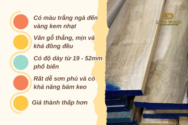 Đặc điểm của gỗ bạch dương