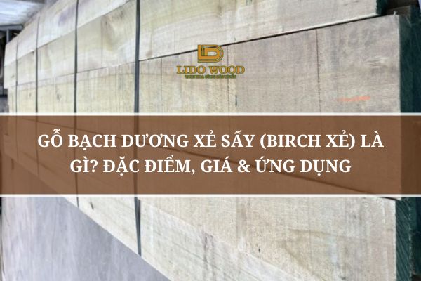 Gỗ Bạch Dương Xẻ Sấy (Birch Xẻ) Là Gì? Đặc Điểm, Giá & Ứng Dụng