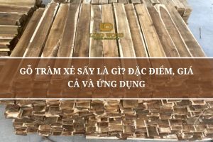 Gỗ Tràm Xẻ Sấy Là Gì? Đặc Điểm, Giá Cả Và Ứng Dụng