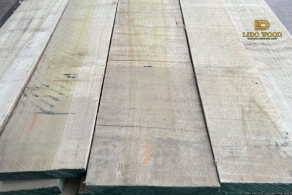 Gỗ bạch dương xẻ sấy nhập khẩu là gì?