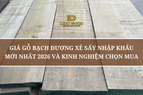 Giá Gỗ Bạch Dương Xẻ Sấy Nhập Khẩu Mới Nhất 2026 Và Kinh Nghiệm Chọn Mua