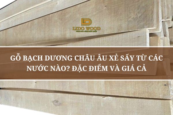 Gỗ Bạch Dương Châu Âu Xẻ Sấy Từ Các Nước Nào? Đặc Điểm Và Giá Cả