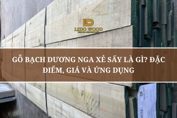 Gỗ Bạch Dương Nga Xẻ Sấy Là Gì? Đặc Điểm, Giá Và Ứng Dụng