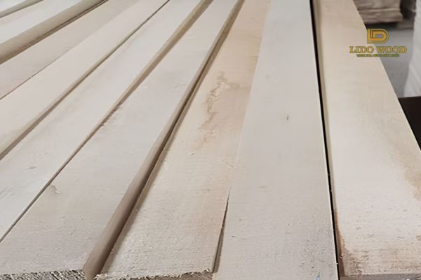 Đặc điểm của bạch dương Trung Quốc xẻ sấy