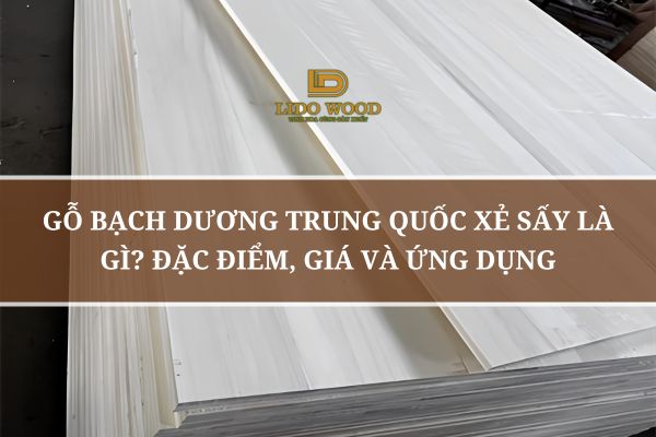 Gỗ Bạch Dương Trung Quốc Xẻ Sấy Là Gì? Đặc Điểm, Giá Và Ứng Dụng