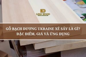 Gỗ Bạch Dương Ukraine Xẻ Sấy Là Gì? Đặc Điểm, Giá Và Ứng Dụng