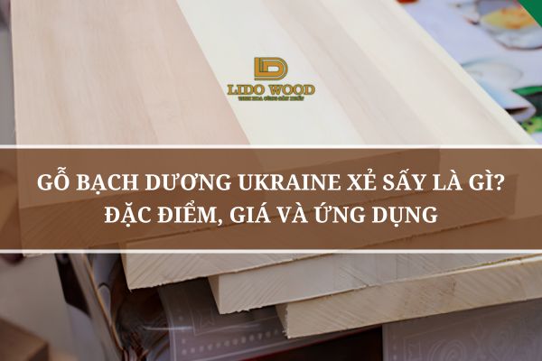 Gỗ Bạch Dương Ukraine Xẻ Sấy Là Gì? Đặc Điểm, Giá Và Ứng Dụng