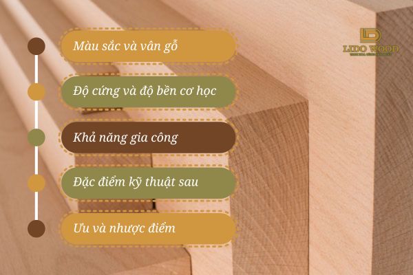 Đặc điểm của gỗ dẻ gai xẻ sấy ngoại nhập?
