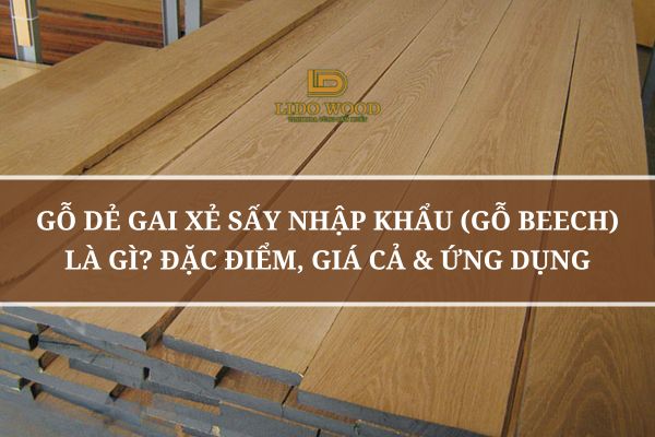 Gỗ Dẻ Gai Xẻ Sấy Nhập Khẩu (Gỗ Beech) Là Gì? Đặc Điểm, Giá Cả Và Ứng Dụng