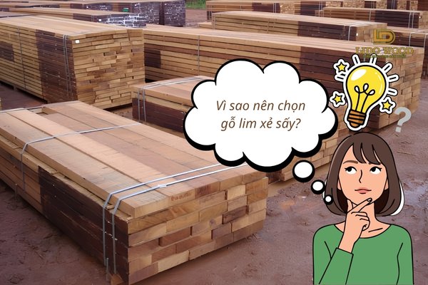 Vì sao nên chọn gỗ lim xẻ sấy?