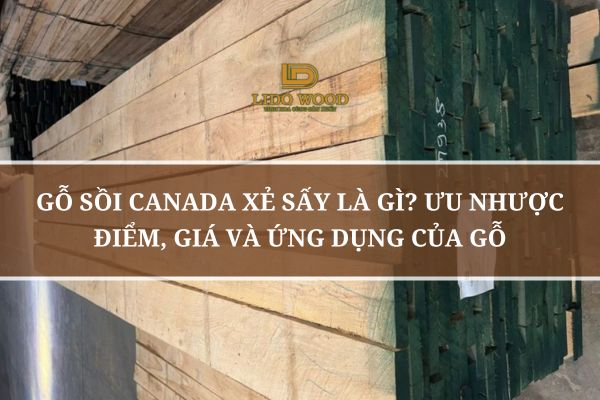 Gỗ Sồi Canada Xẻ Sấy Là Gì? Ưu Nhược Điểm, Giá Và Ứng Dụng Của Gỗ