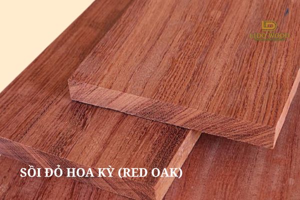 Sồi đỏ Hoa Kỳ (Red Oak)