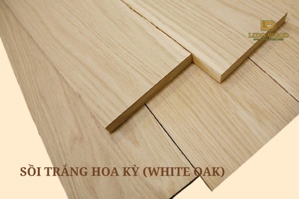 Sồi trắng Hoa Kỳ (White Oak)