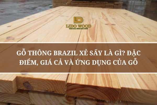 Gỗ Thông Brazil Xẻ Sấy Là Gì? Đặc Điểm, Giá Cả Và Ứng Dụng Của Gỗ