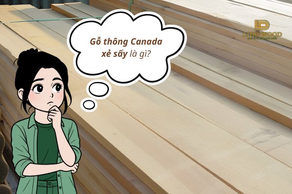 Gỗ thông Canada xẻ sấy là gì?