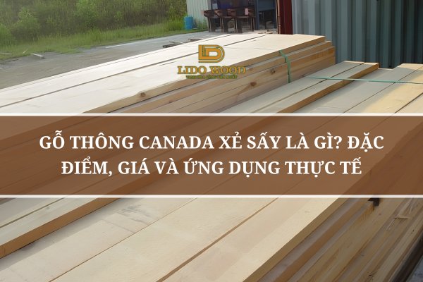 Gỗ Thông Canada Xẻ Sấy Là Gì? Đặc Điểm, Giá Và Ứng Dụng Thực Tế