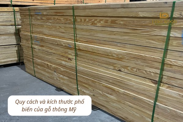 Quy cách và kích thước phổ biến