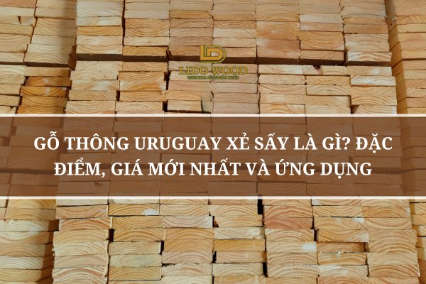 Gỗ Thông Uruguay Xẻ Sấy Là Gì? Đặc Điểm, Giá Mới Nhất Và Ứng Dụng